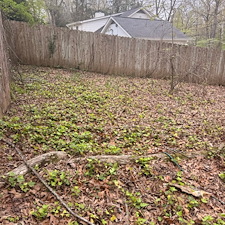 Leaf-Cleanup-and-Removal-in-Oxford-MS 5